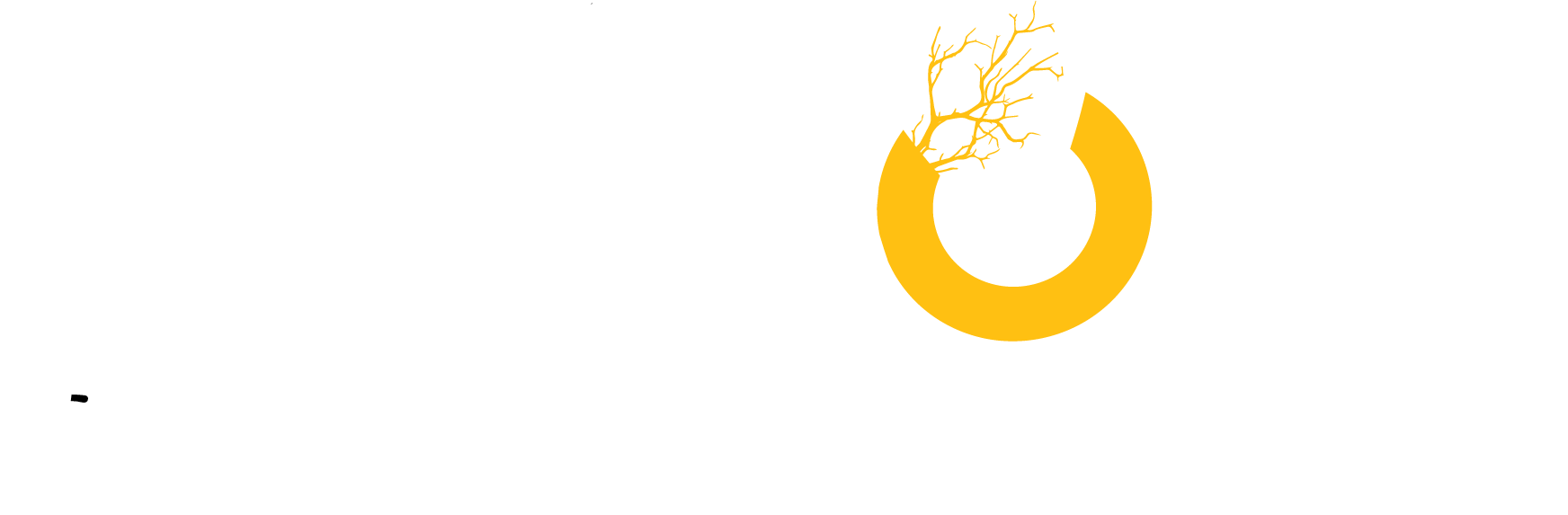BeMore Developmental Support Services Inc.